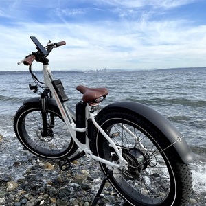 Rad Power Bikes RadRover Step Thru Version-1 White