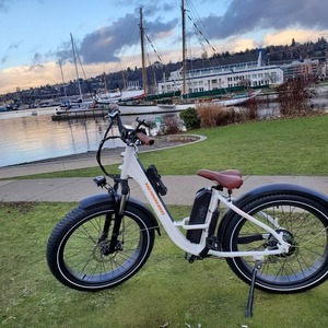 Rad Power Bikes RadRover Step Thru Version-1 White