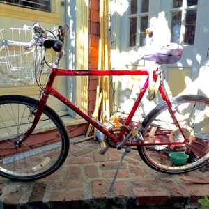 Terranaut Wanderer Red