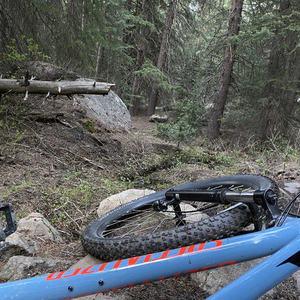 2019 Specialized Rockhopper Comp Silver, gray or bare metal