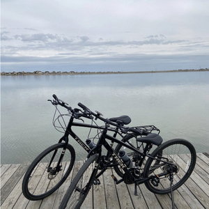 2021 Trek VER21340037K Black