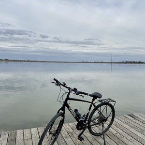 2021 Trek VER21340037K Black