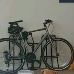 2019 6KU Canvas Hybrid 12 speed Silver, gray or bare metal