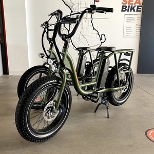 2021 Rad Power Bikes Radrunner Green