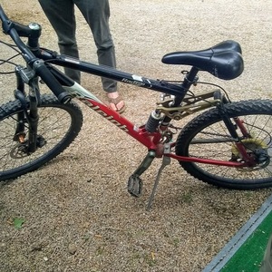 Raleigh Ram 1.0 Red