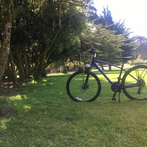 2018 Specialized Crosstrail Blue and Purple