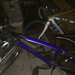 2018 Specialized Crosstrail Blue and Purple
