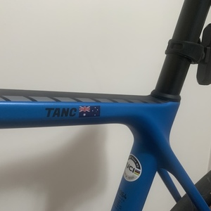 2021 Canyon bicycles Endurace Blue