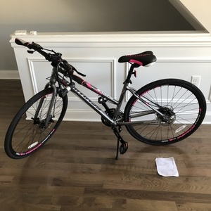 2018 Schwinn S5489AZ Silver, gray or bare metal and Pink