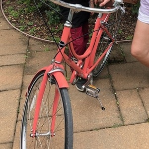 2021 Linus Dutchi 3 Pink