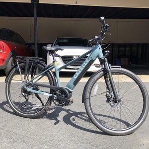 2020 Gazelle Medeo T10+ HMB Teal