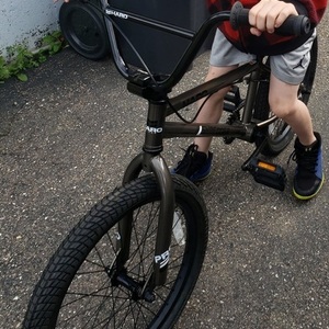 2020 Haro Bmx Silver, gray or bare metal