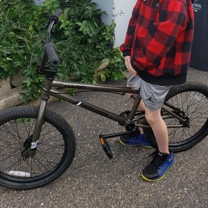 2020 Haro Shredder Pro Silver, gray or bare metal