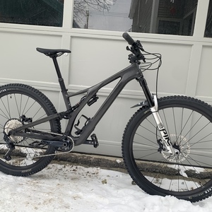 2020 Specialized Stumpjumper Evo 29 Silver, gray or bare metal