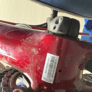 2020 Trek Domane Red and Black