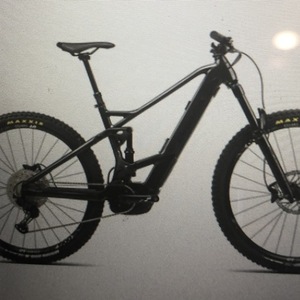 2020 Orbea Wild FS H20 Black
