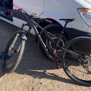 2020 Specialized Stumpjumper Evo 29 Silver, gray or bare metal