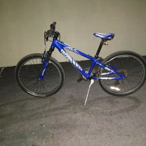 Trek 220 Blue