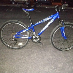 Trek 220 Blue