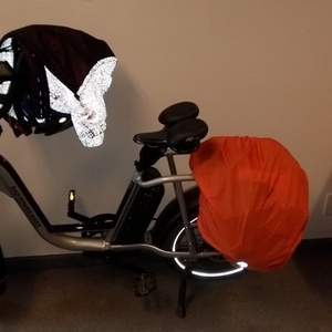 2021 Rad Power Bikes Step Through Silver, gray or bare metal