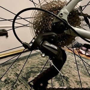 2020 Cannondale Quick5 Remixte Silver, gray or bare metal