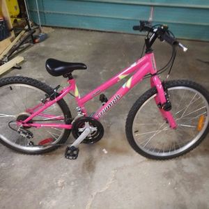 Triumph Cycle Challanger Pink