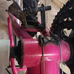Triumph Cycle Challanger Pink