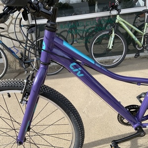 2021 Giant Enchant 24 Purple