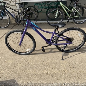 2021 Giant Enchant 24 Purple