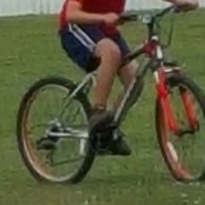 2014 Schwinn Orange and White