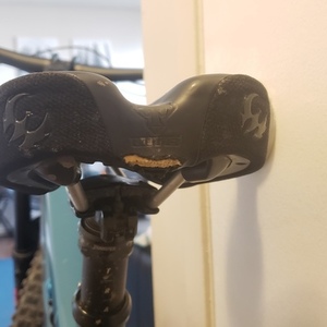 2021 Pivot Firebird 29 Blue