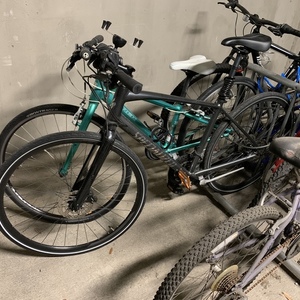 2019 Specialized ISO 4210-2:2014-C Silver, gray or bare metal