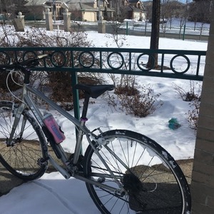 2015 Trek 7.4 FX WSD Silver, gray or bare metal