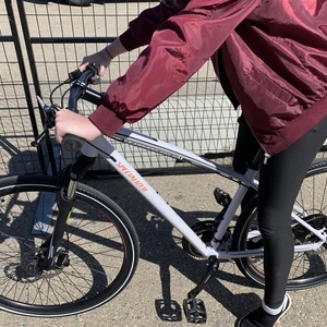 2019 Specialized Aeriel Silver, gray or bare metal and Purple