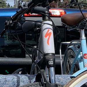 2019 Specialized Aeriel Silver, gray or bare metal and Purple