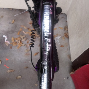 2020 Mongoose Black