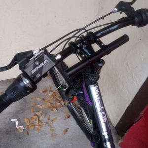 2020 Mongoose Black