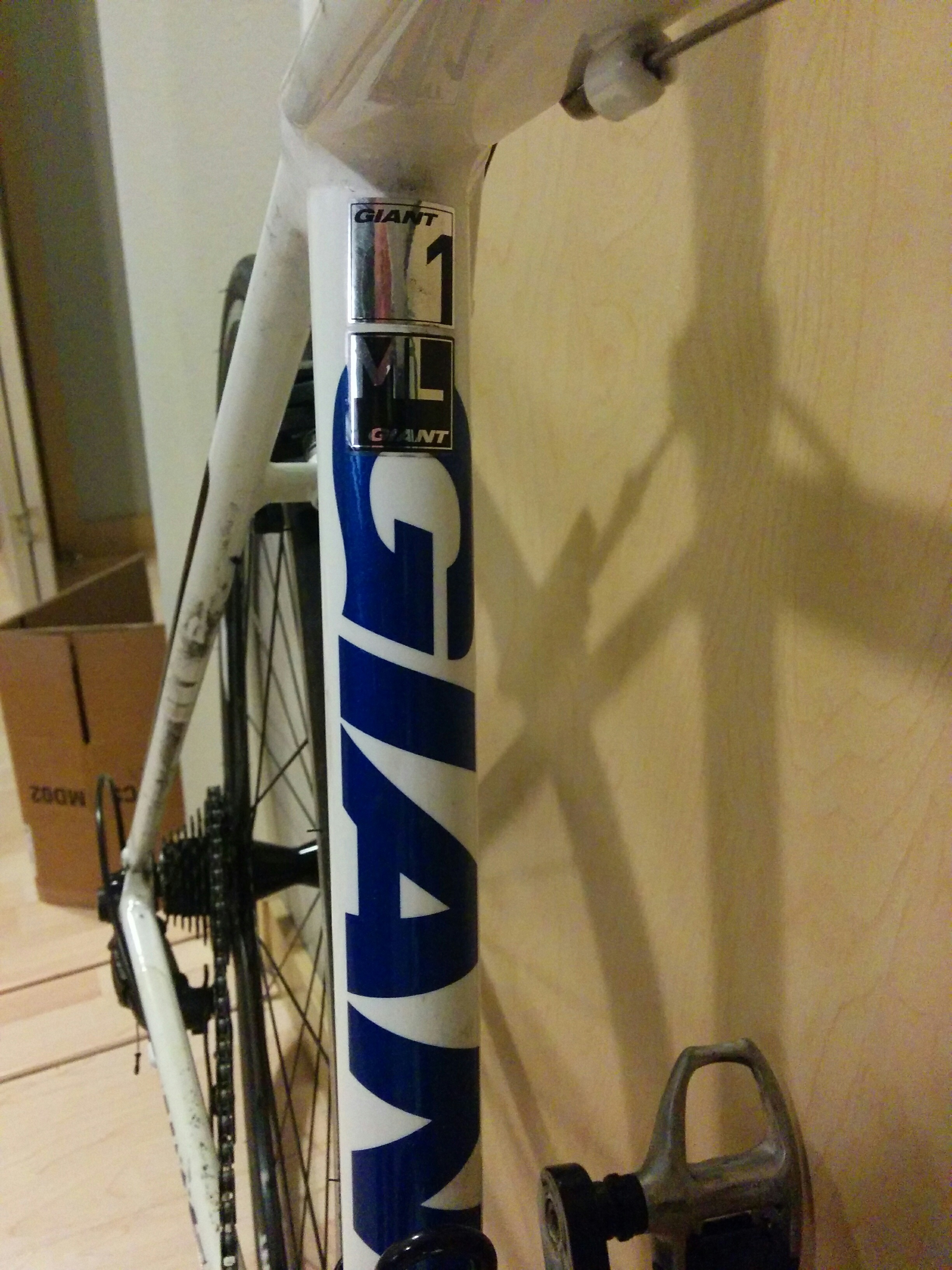 2011 Giant Defy 1