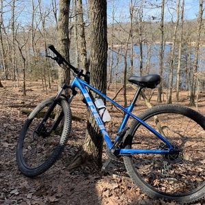 2020 Trek Blue and Silver, gray or bare metal