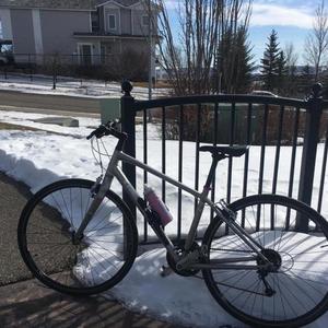 2015 Trek 7.4 FX WSD Platinum 17" Silver, gray or bare metal