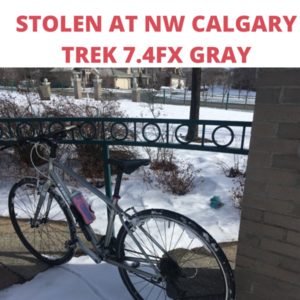 2015 Trek 7.4 FX WSD Platinum 17" Silver, gray or bare metal