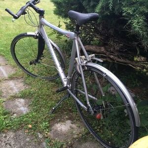 2006 Batavus X-clusive Silver, gray or bare metal