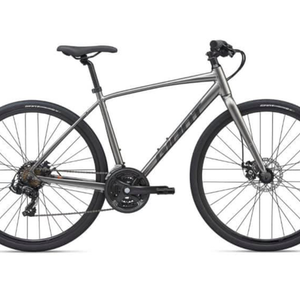 2020 Giant Escape 3 Disc Silver, gray or bare metal