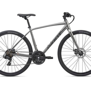 2020 Giant Escape 3 Disc Silver, gray or bare metal
