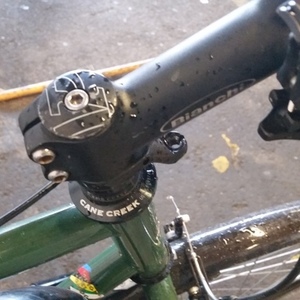 2008 Bianchi San Jose Green