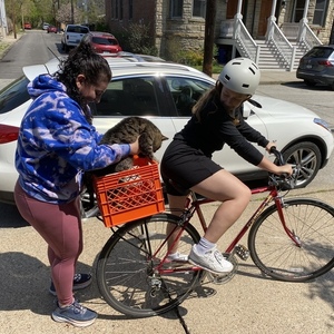 Schwinn Red