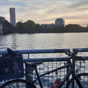 2015 Specialized Sirrus Black