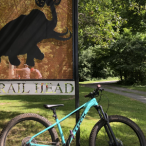2019 Trek Teal