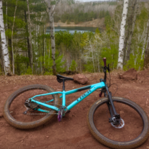 2019 Trek Teal