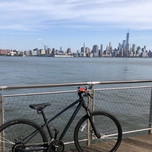 Ariel Ariel Mech Disc Tarmac Blackchameleon S Black